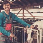 Agenor Vicente Pelissa