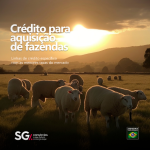 SG Consórcios - Segatt e Genrro