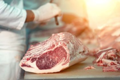 Modelo integrado na indústria do agronegócio: a estratégia que impulsiona competitividade e abre novos mercados