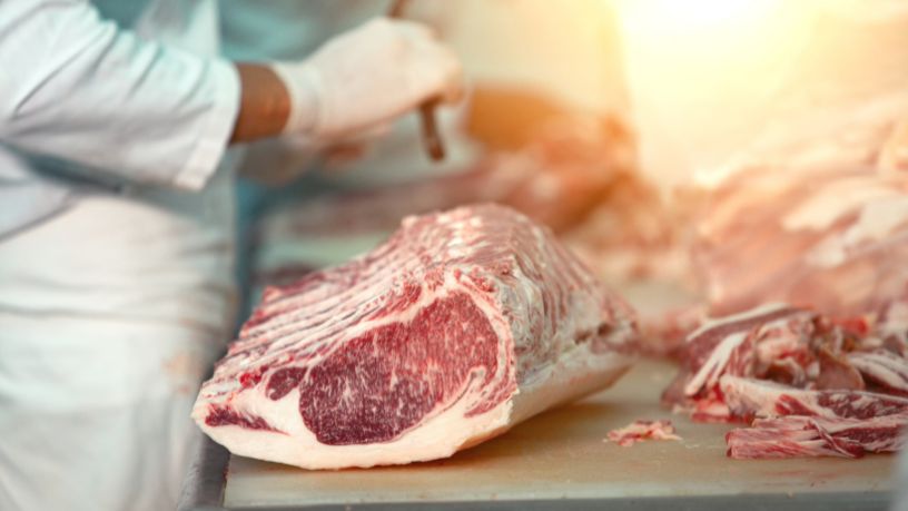 Modelo integrado na indústria do agronegócio: a estratégia que impulsiona competitividade e abre novos mercados