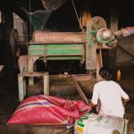 Trabalhadora opera uma máquina de moagem de milho em ambiente industrial.
